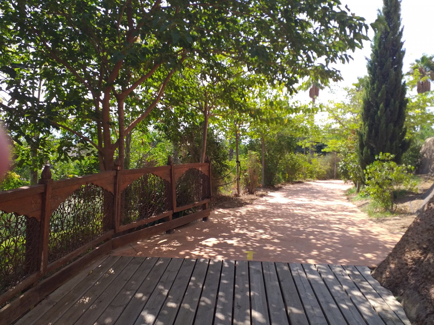 Road to Asia -TerraNatura Benidorm (2021)