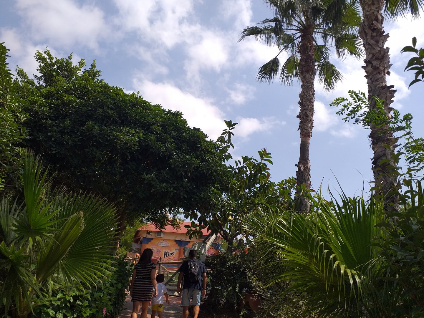 Road to Asia -TerraNatura Benidorm (2021)