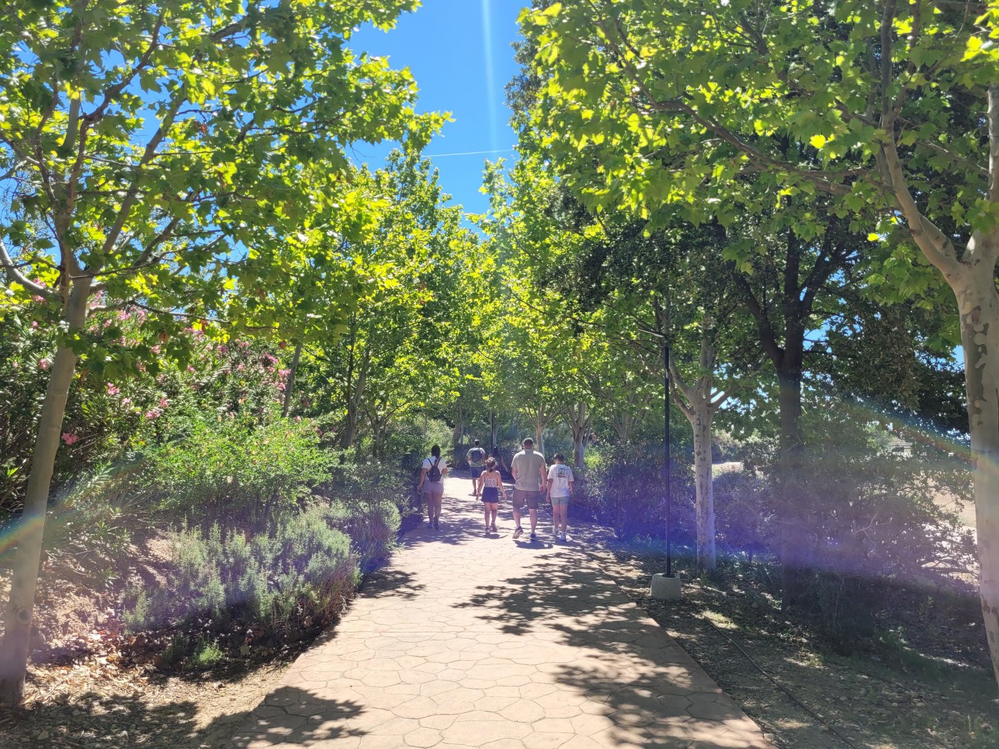 Road to entrance gates -Sendaviva (2024)