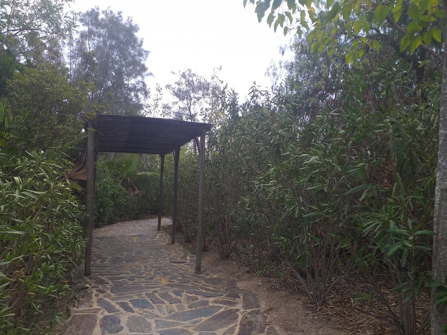 Road to Europe -TerraNatura Benidorm (2021)