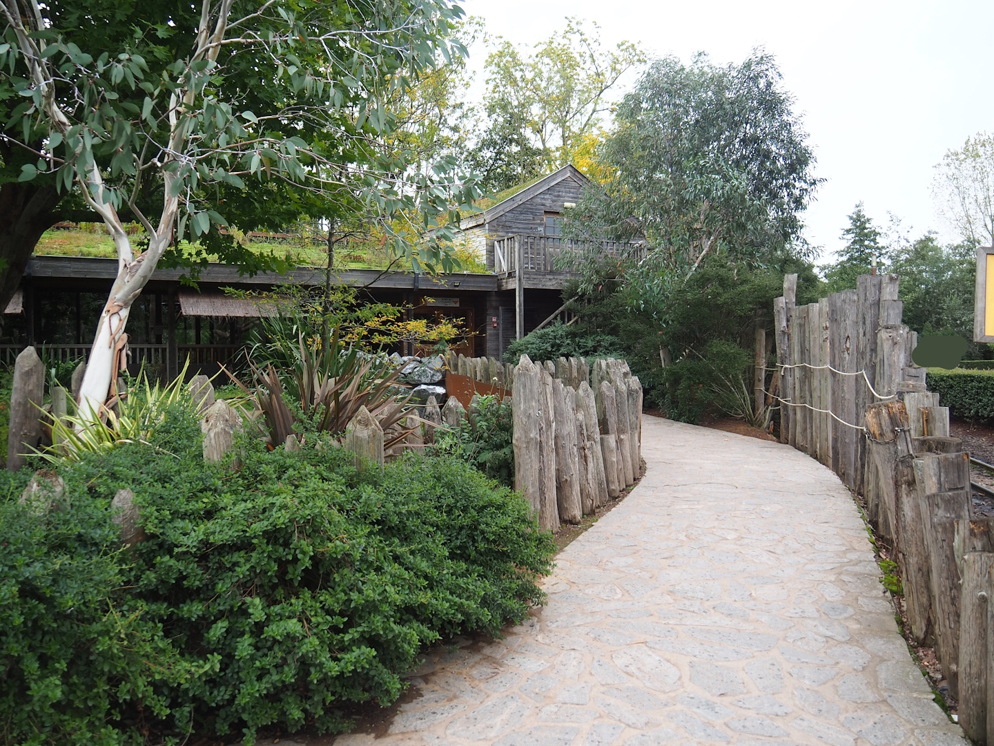 Road to koala house, 2023-10-13