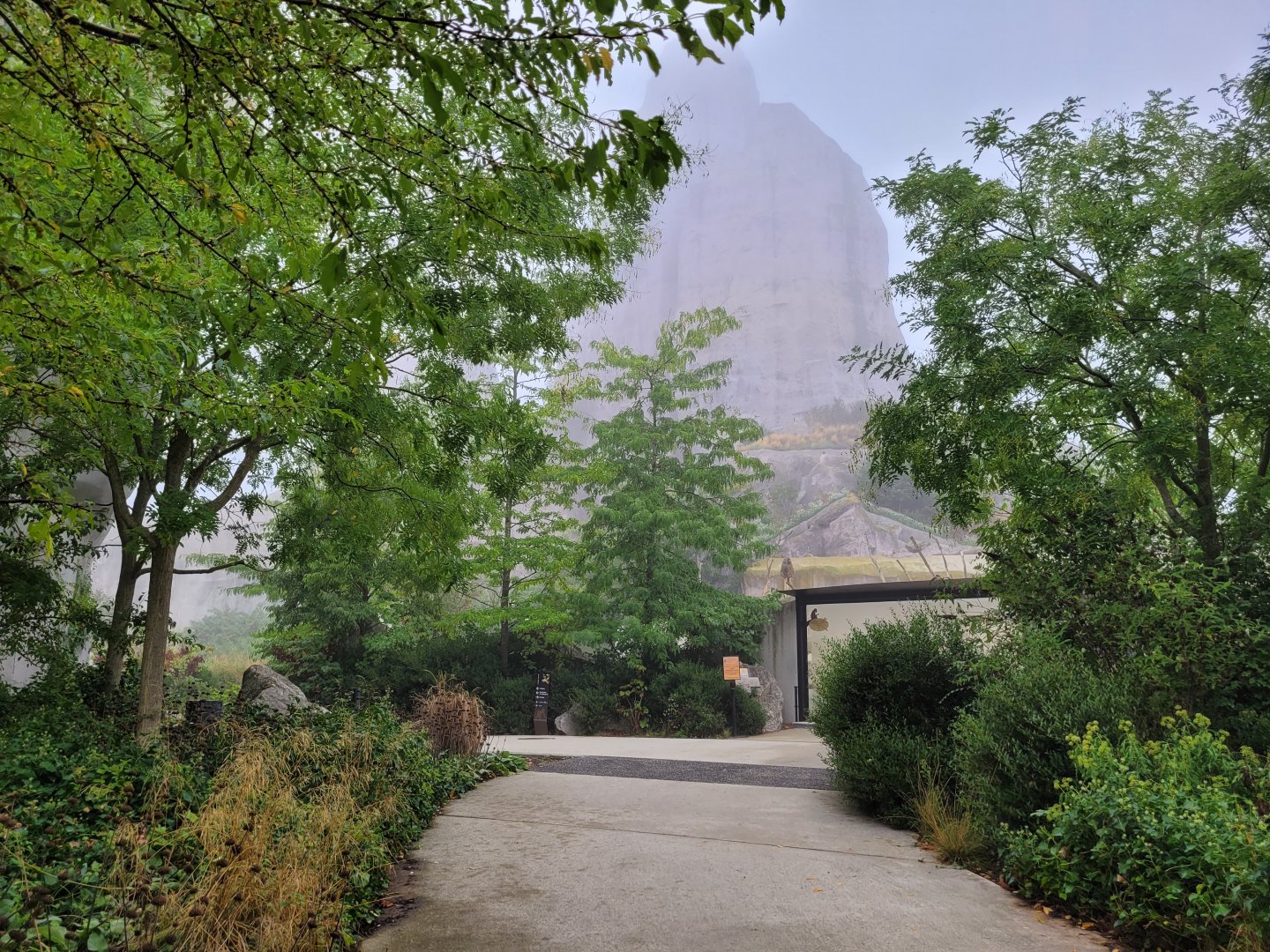 Road to the baboon exhibit -Parc Zoologique de Paris (2022)