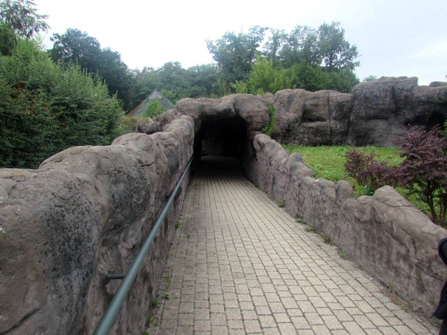 Road to the California Sea Lion pool