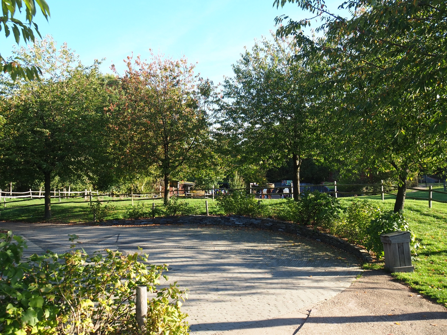 Road to the entrance and Dutch Belted cow pasture (Oct 13th, 2018)