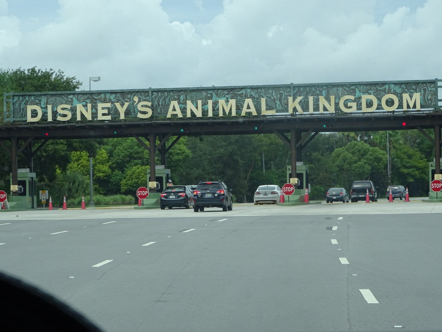 Road to the Entrance at Disney's Animal Kingdom (2014)