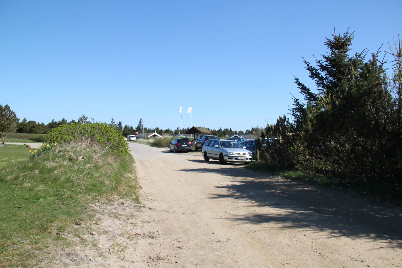 Road to the entrance