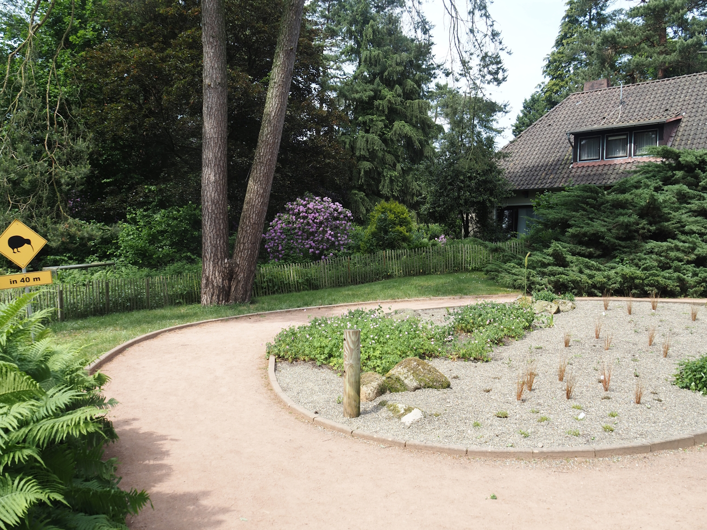 Road to the kiwi house, 2024-05-21