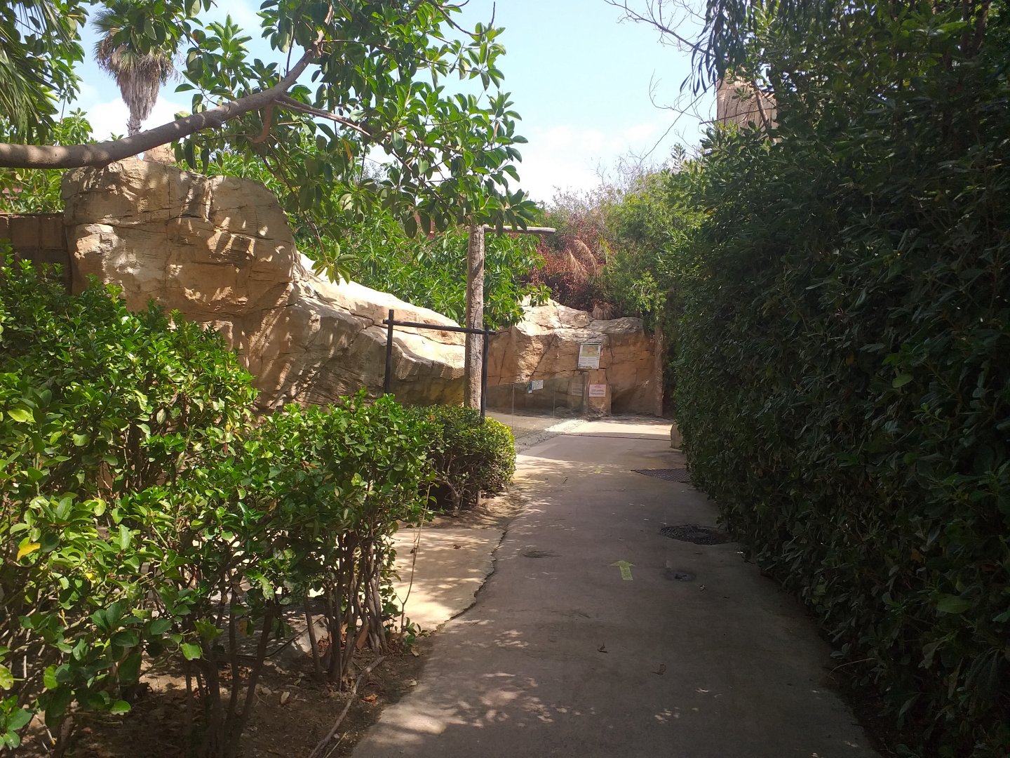 Road to the muntjac exhibit -TerraNatura Benidorm (2021)