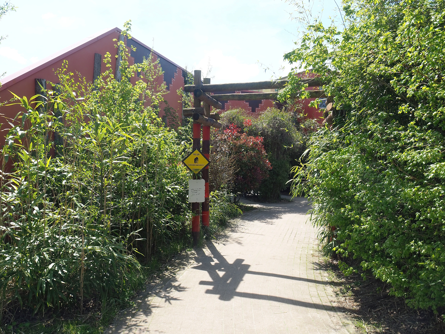 Road to Western chimpanzee indoor viewing areas, 2023-04-30