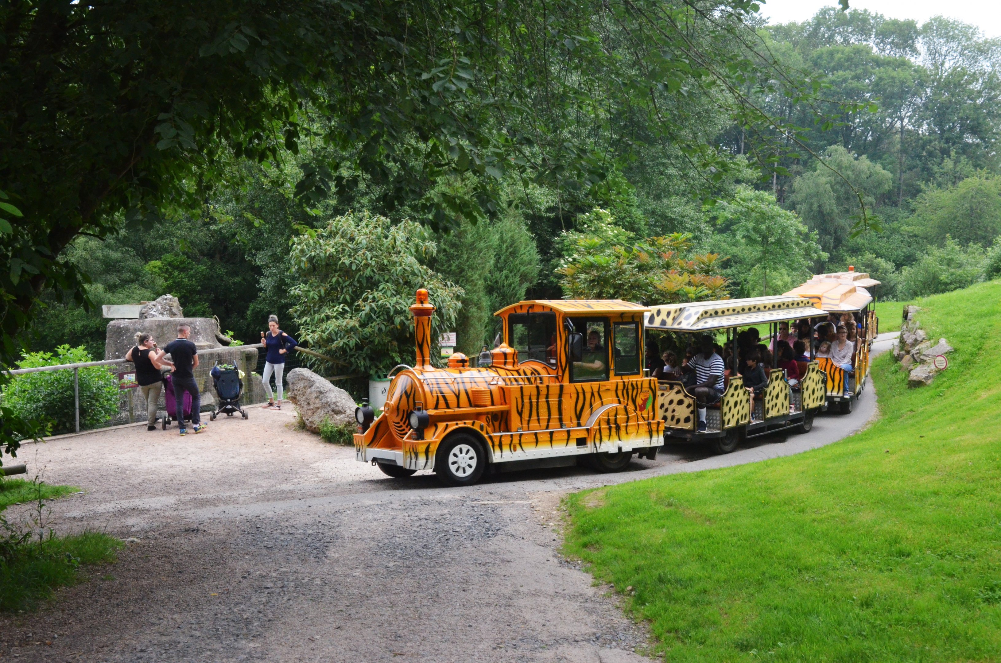 Road Train at CERZA, 10/06/18