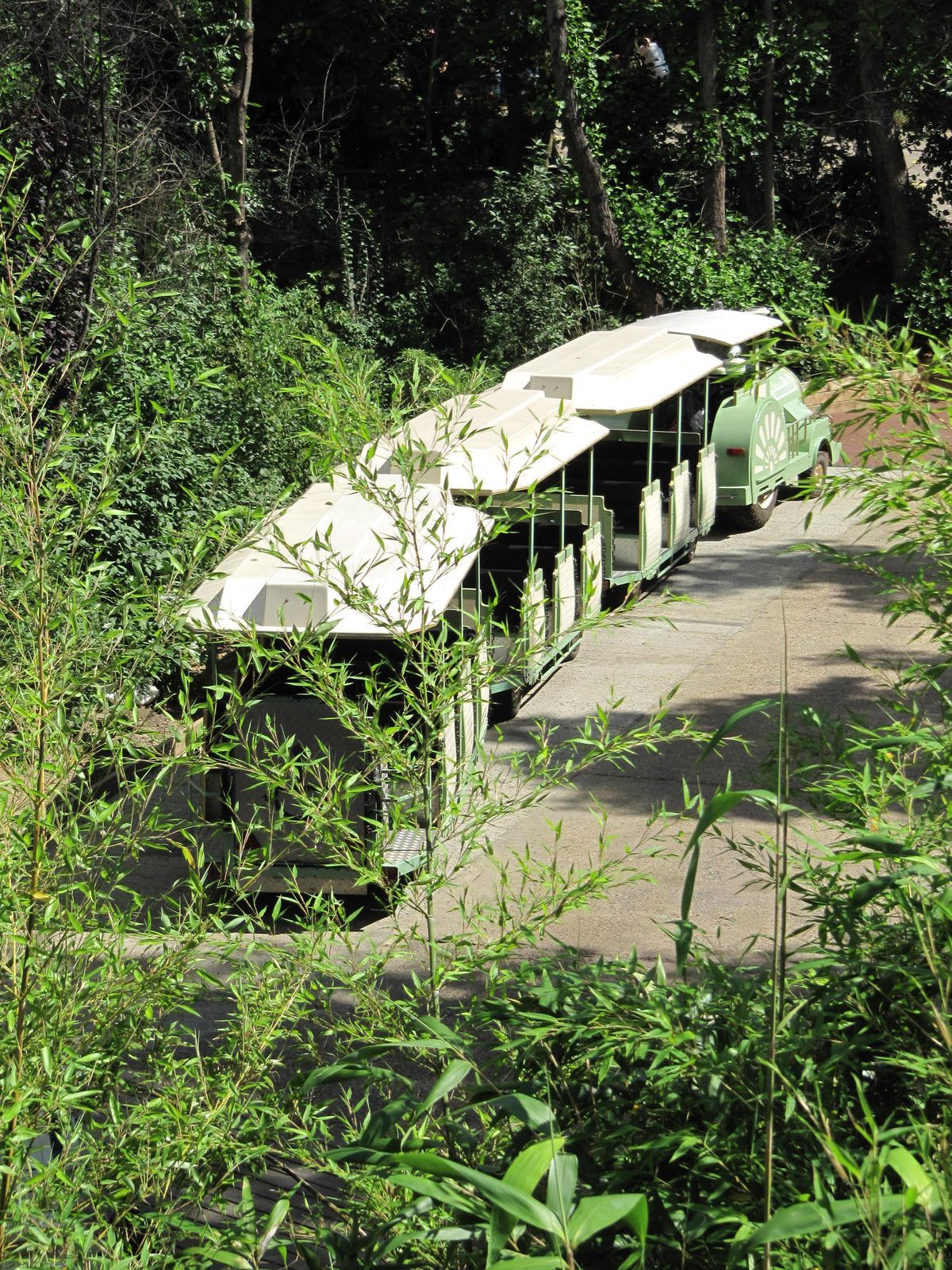 Road train on 06/08/2016