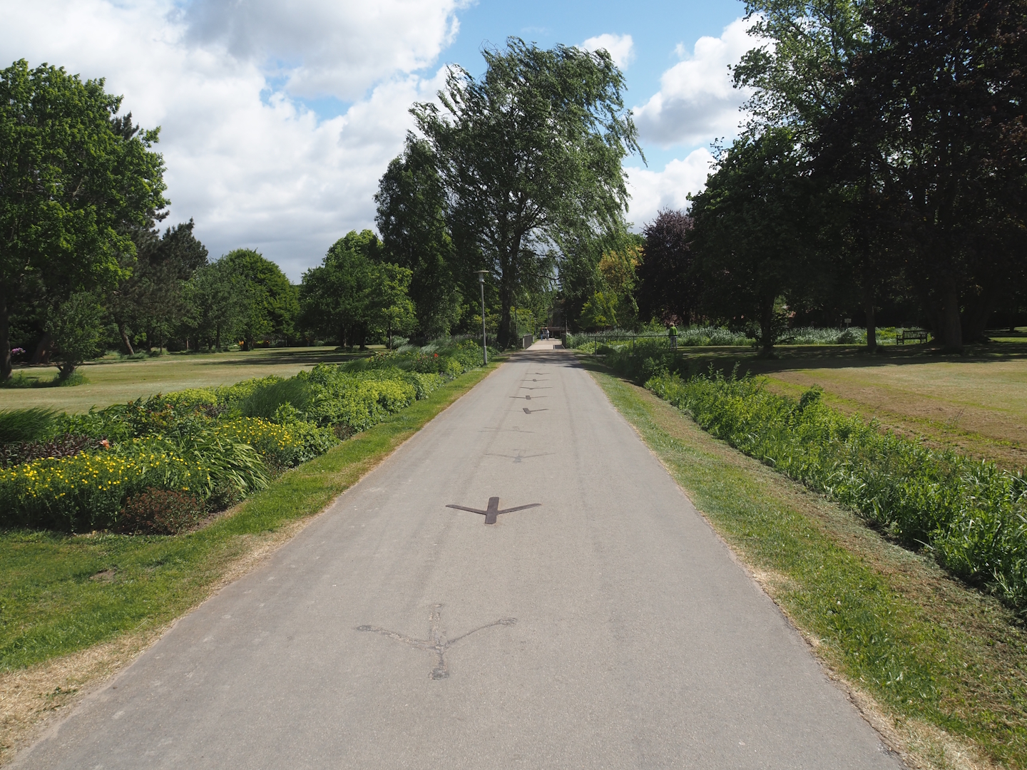 Road with bird feet markings pointing toward the zoo's entrance in the Salinenpark next to the zoo,2025-05-22