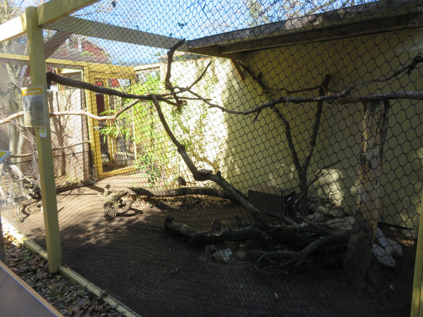 Roadrunner/Burrowing Owl Exhibit