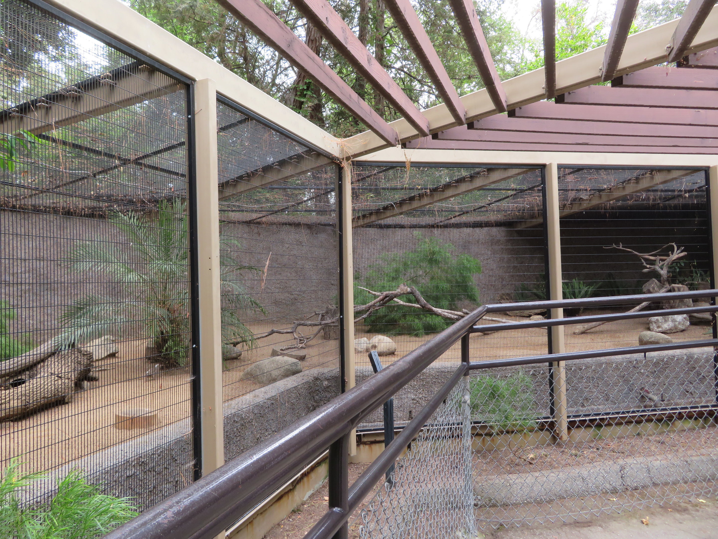 Roadrunner/Quail Exhibit