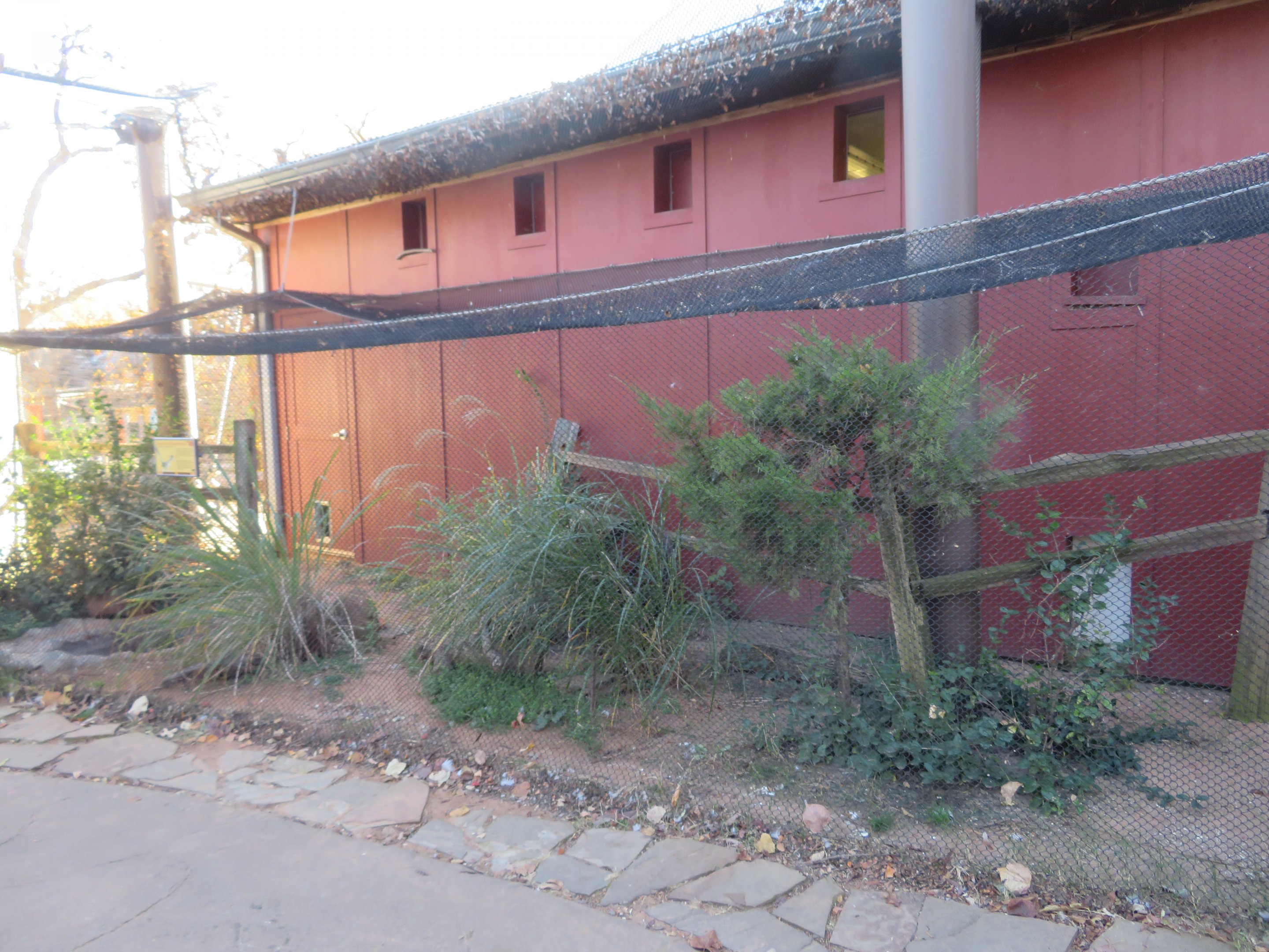 Roadrunner Side Aviary