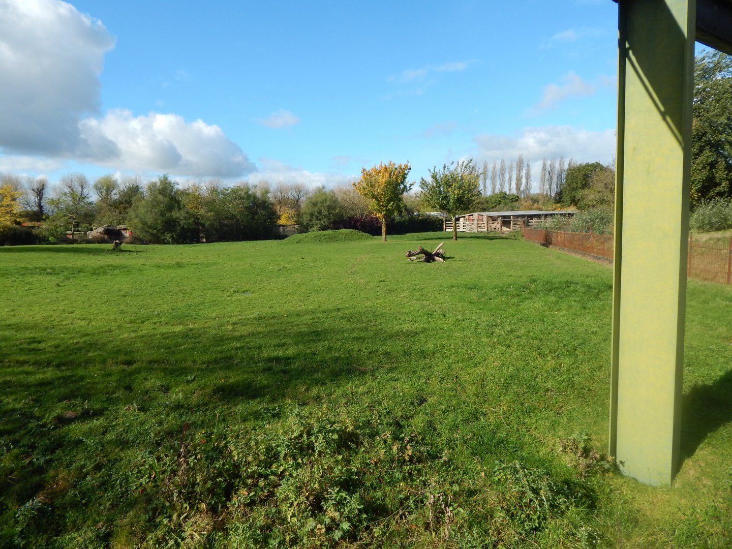 Roan antelope enclosure 071020