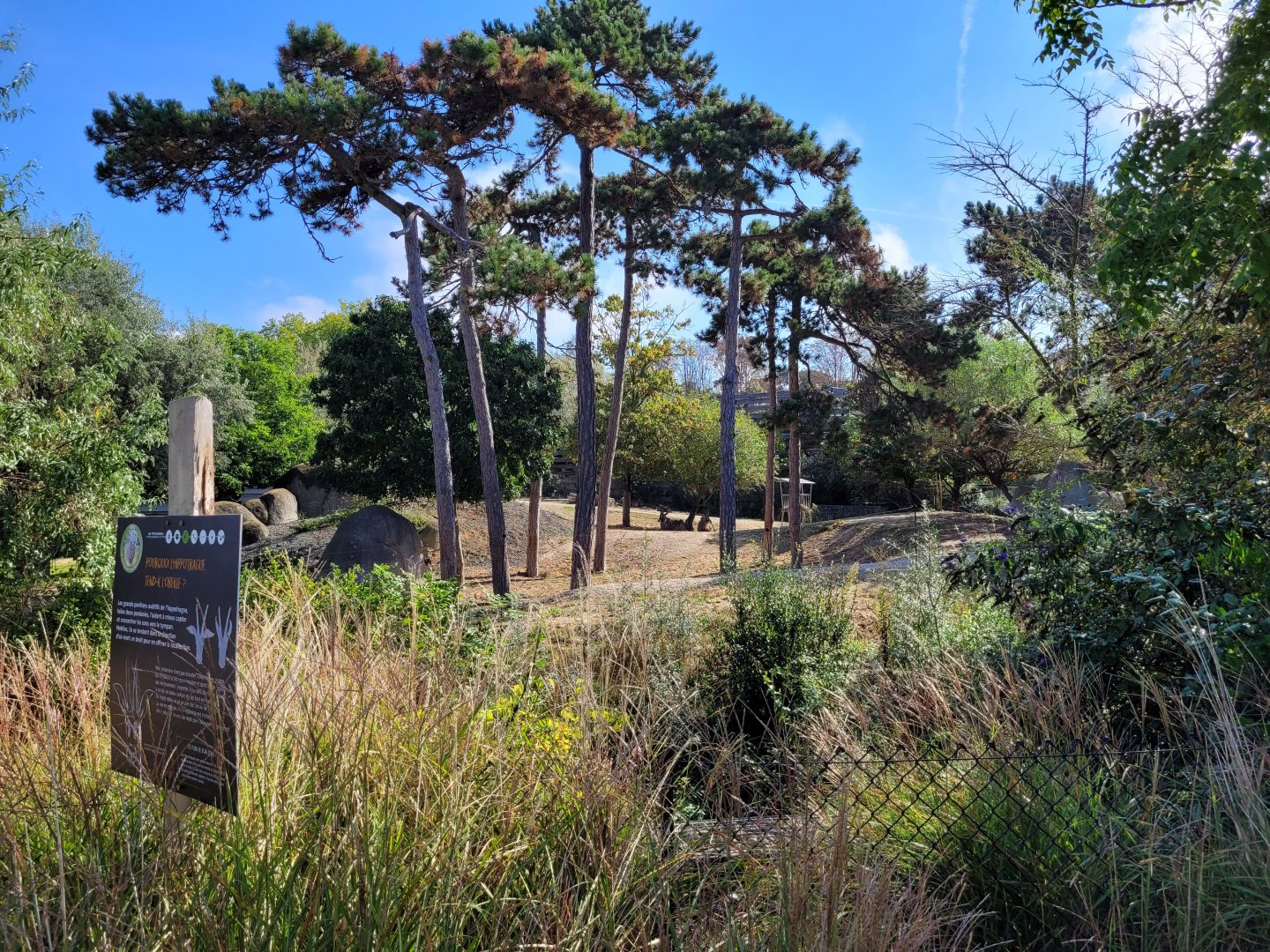 Roan antelope exhibit -Parc Zoologique de Paris (2022)