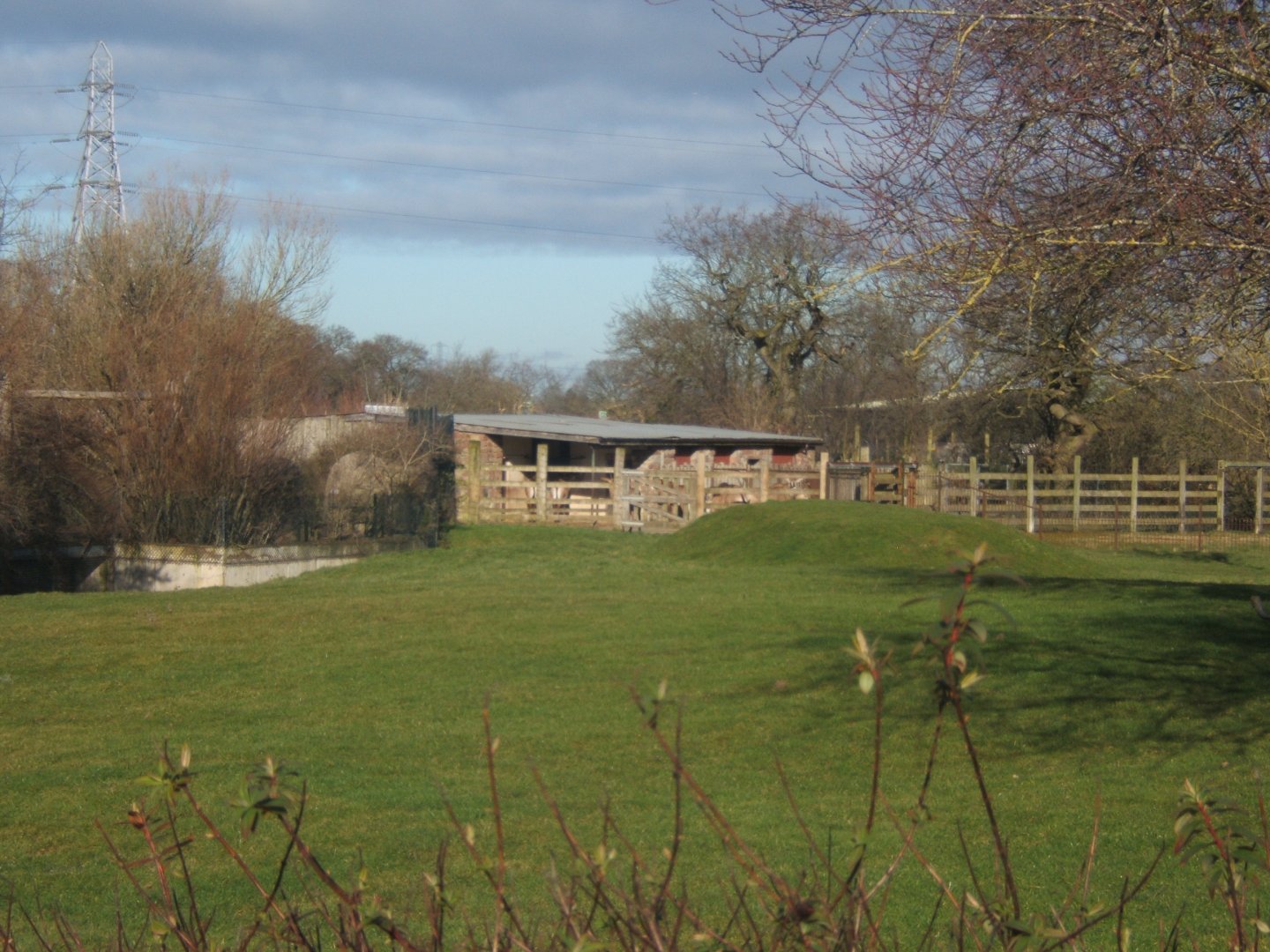 Roan Antelope Housing soon to disappear if Grasslands ever starts 17/02/2018