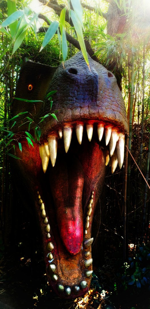 Roar from the Shadows