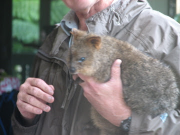 Roar & Snore 2010 - Quokka