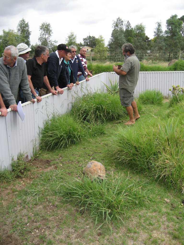Rob Bredl and Leopard Tortoise