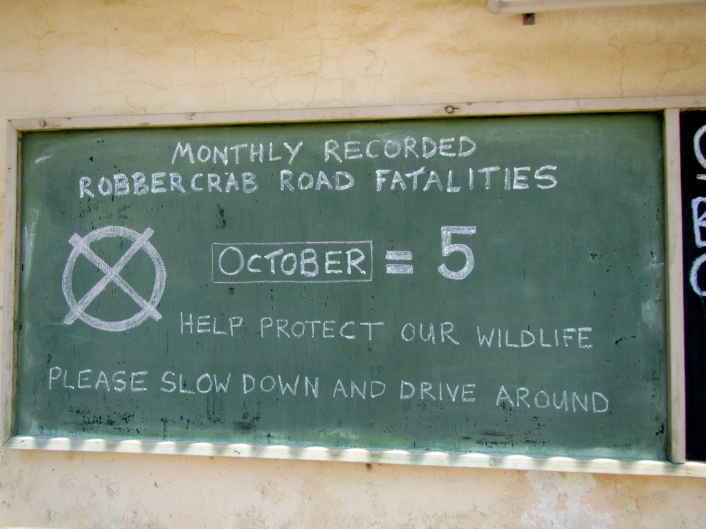 Robber Crab road toll