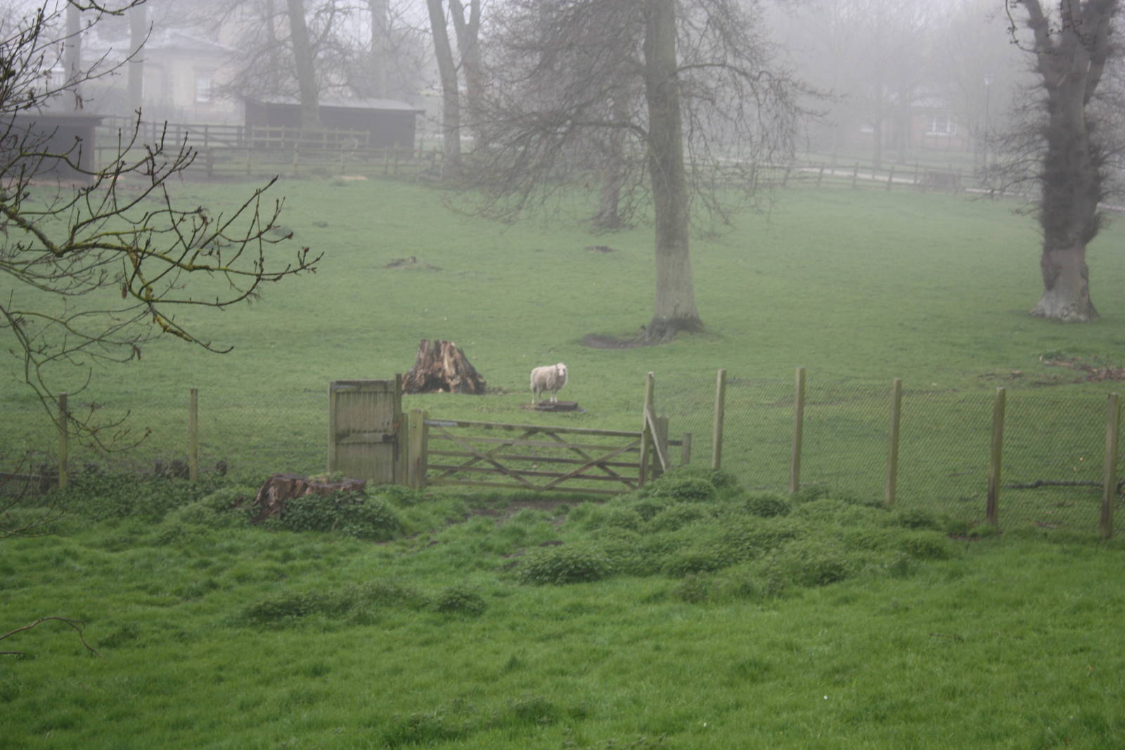 Robyn is on Willow's plinth! 25th April 2013