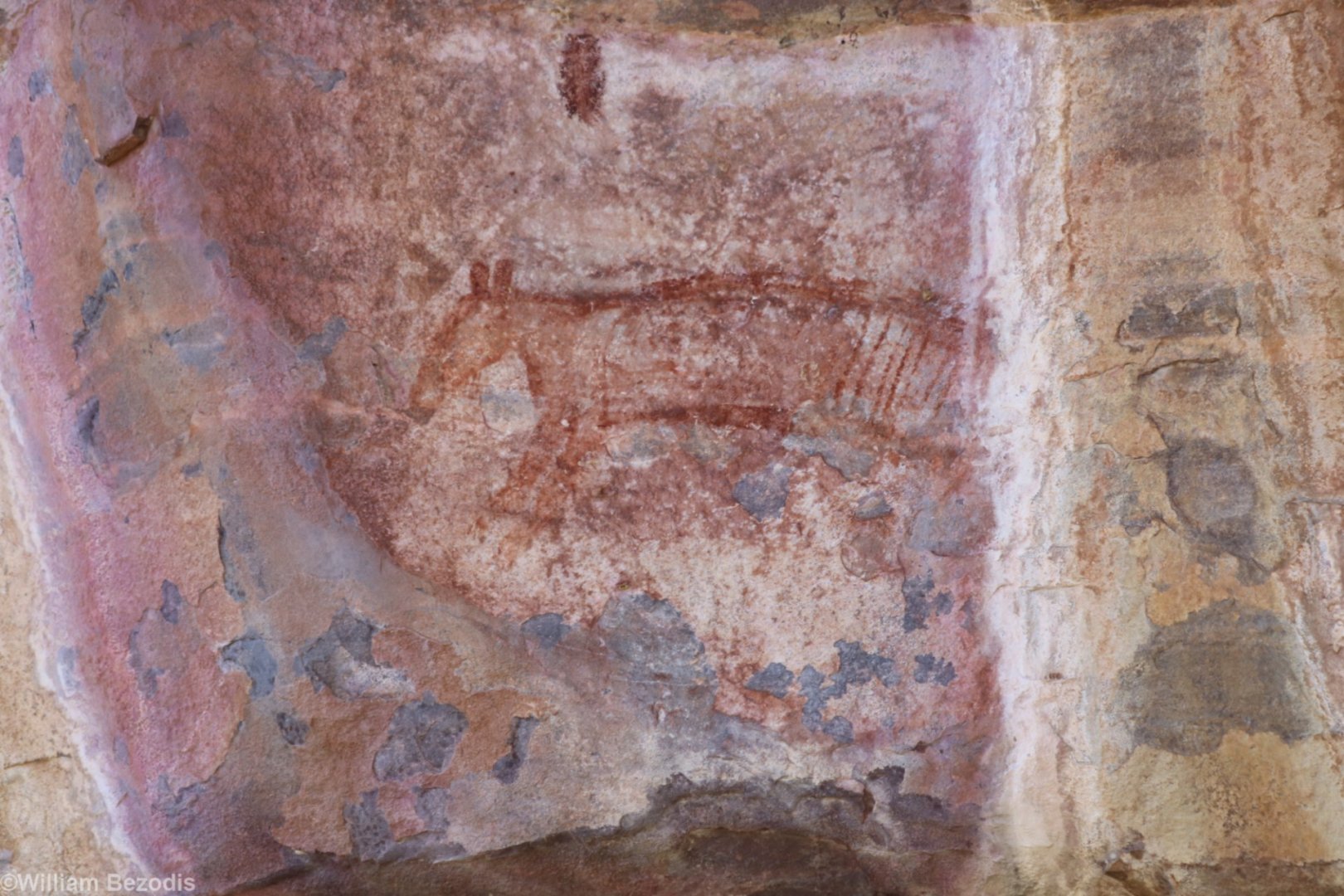 Rock Art of a Thylacine - Kakadu