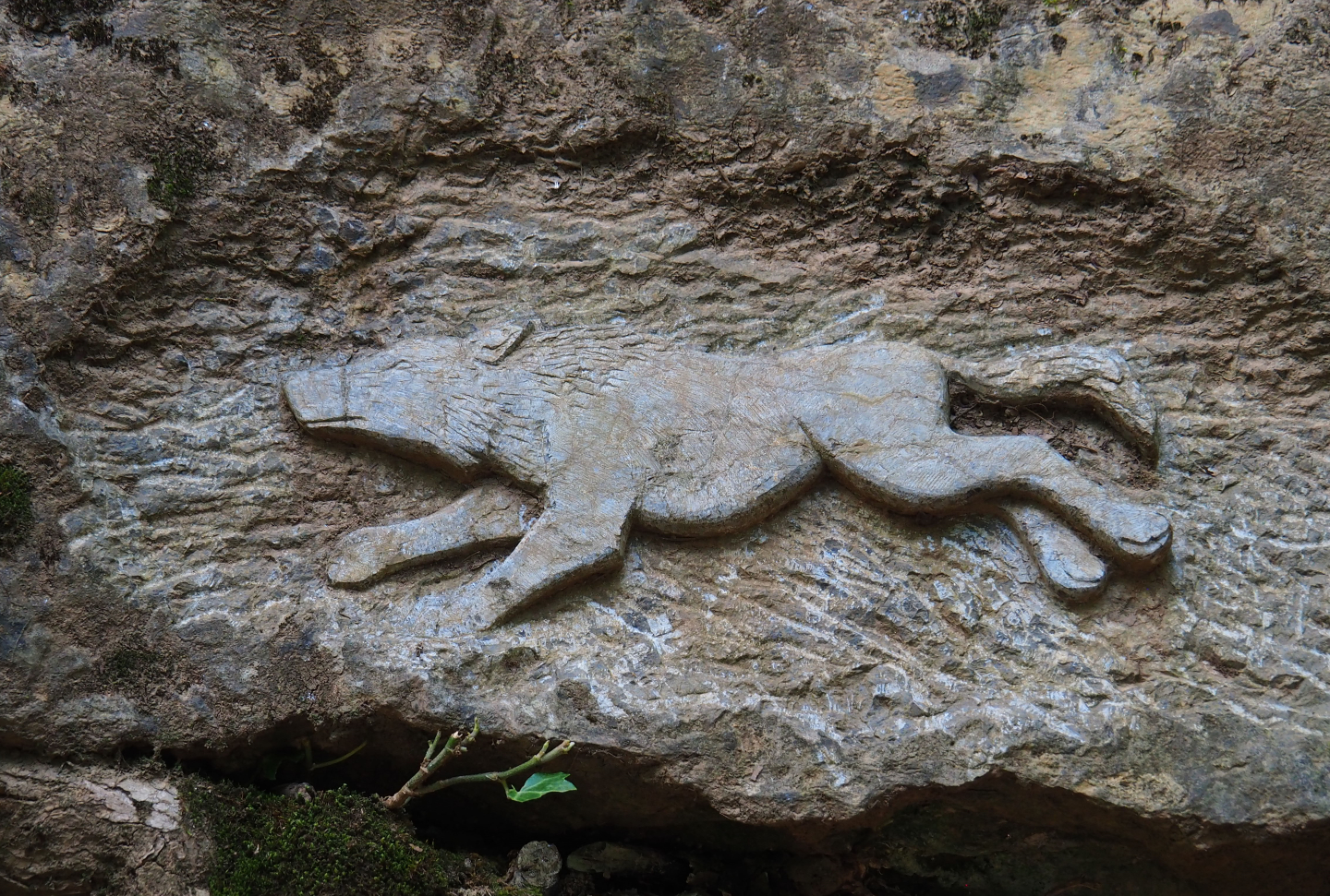 Rock carving of running wolf, 2021-08-15