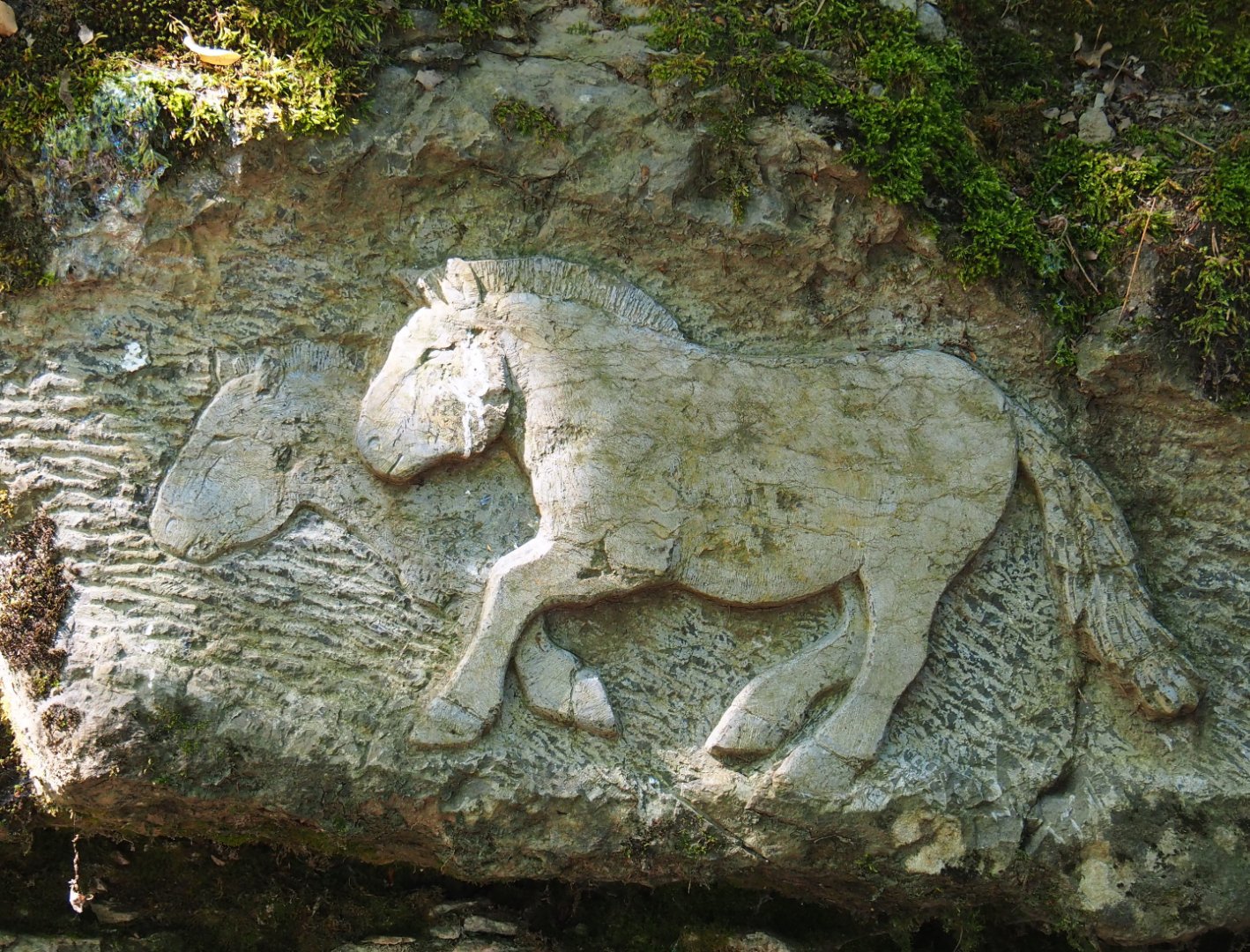Rock carving wild horses, 2020-07-12