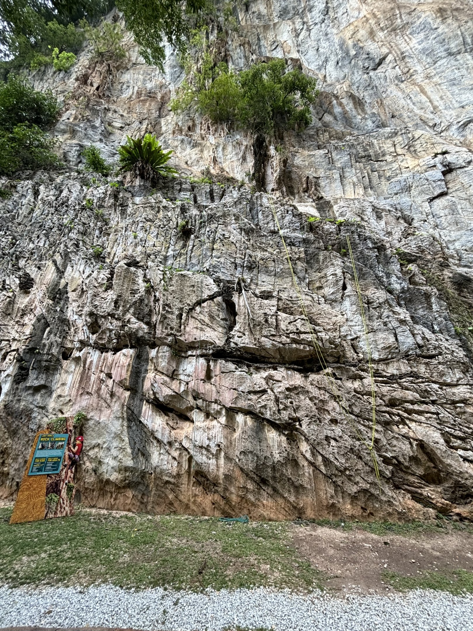 Rock climbing area - Lost World of Tambun