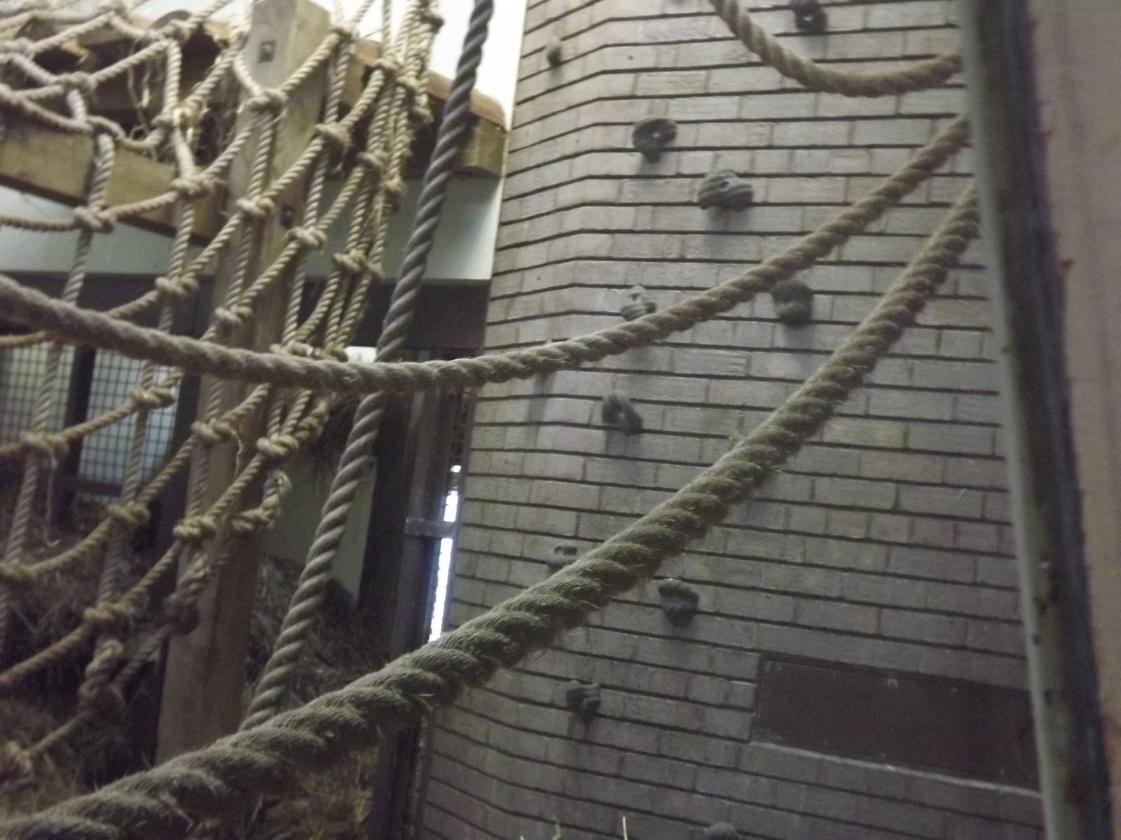 Rock climbing at Blackpool Zoo 15/01/12