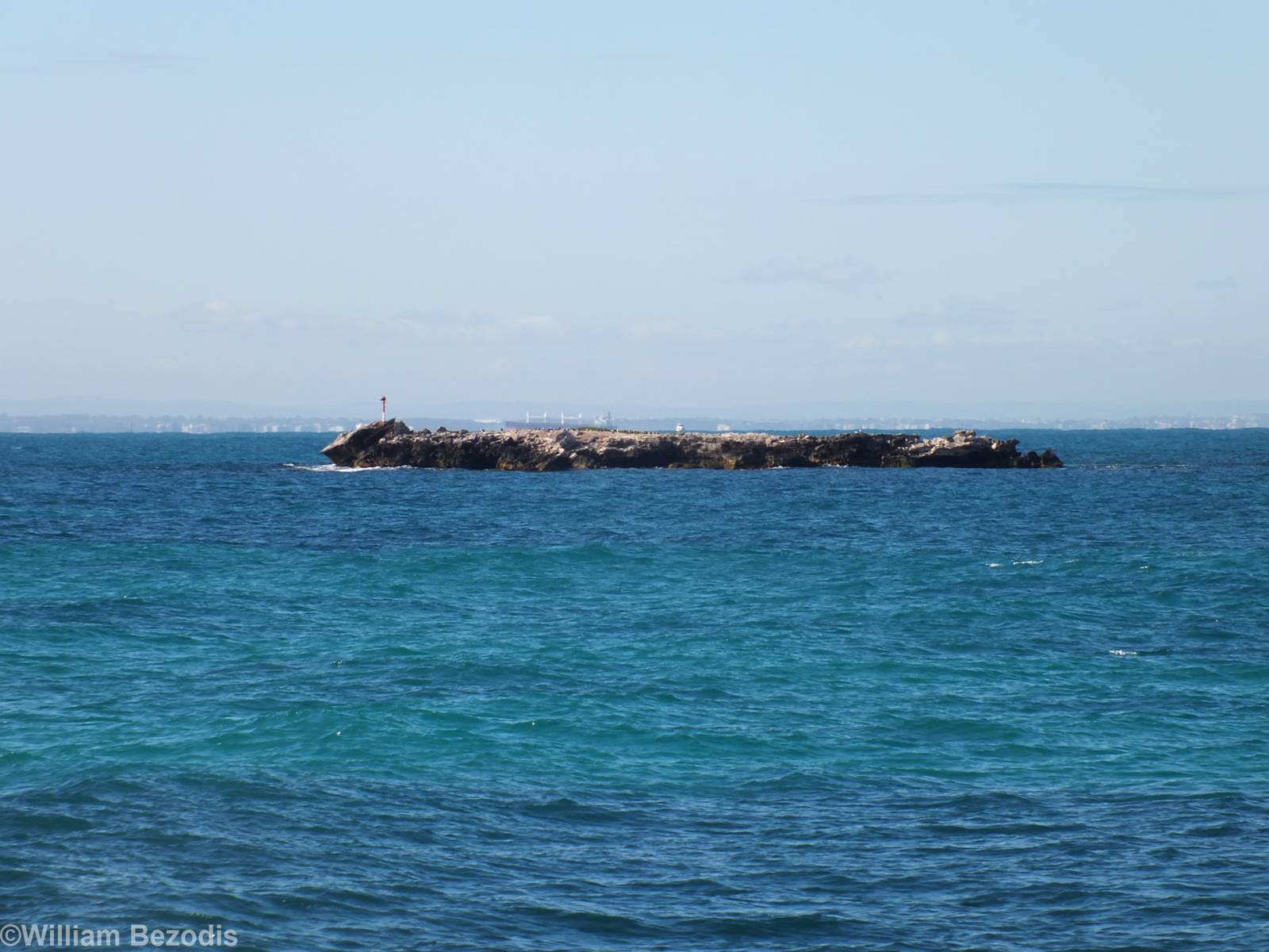 Rock Covered in Cormorants - Rottnest Island