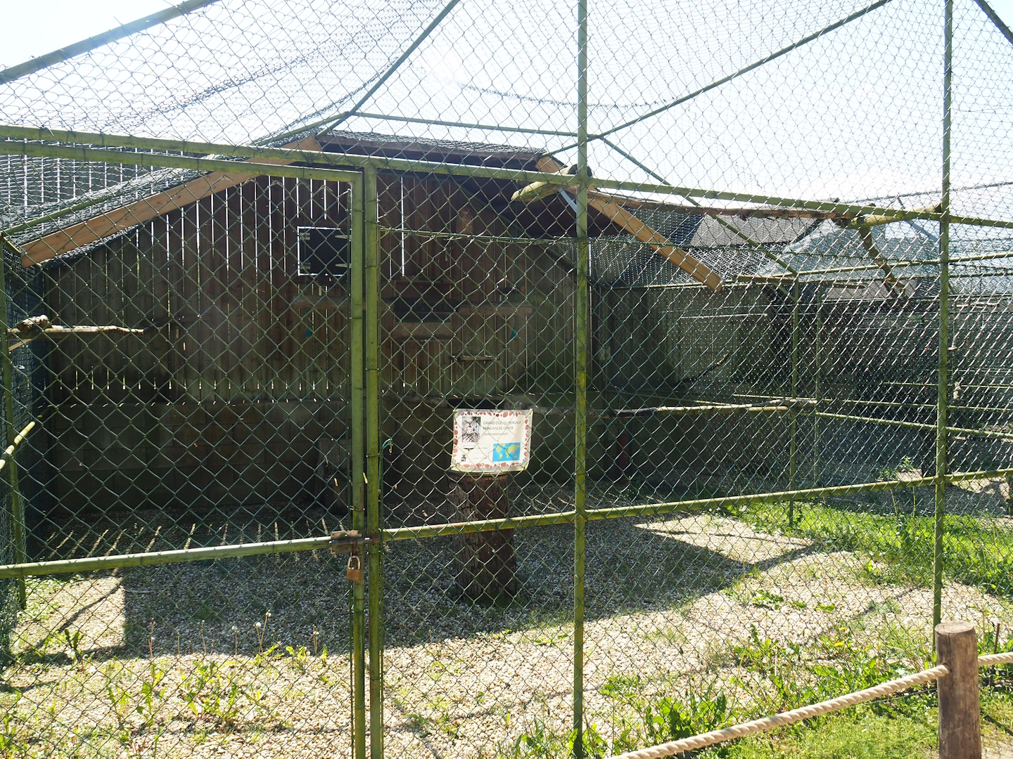 Rock eagle-owl aviary, 2023-05-19