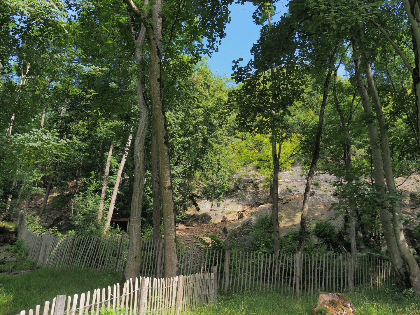 Rock face exhibit for non-flighted Western Eurasian griffon vulture, 2021-08-15