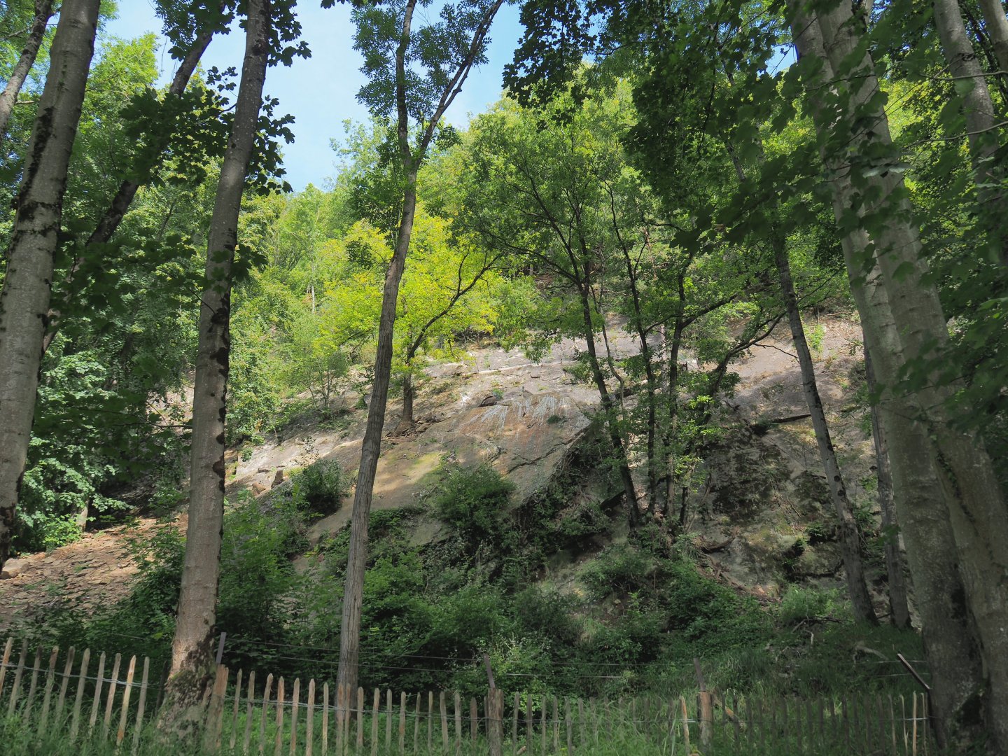 Rock face exhibit for non-flighted Western Eurasian griffon vulture, 2021-08-15