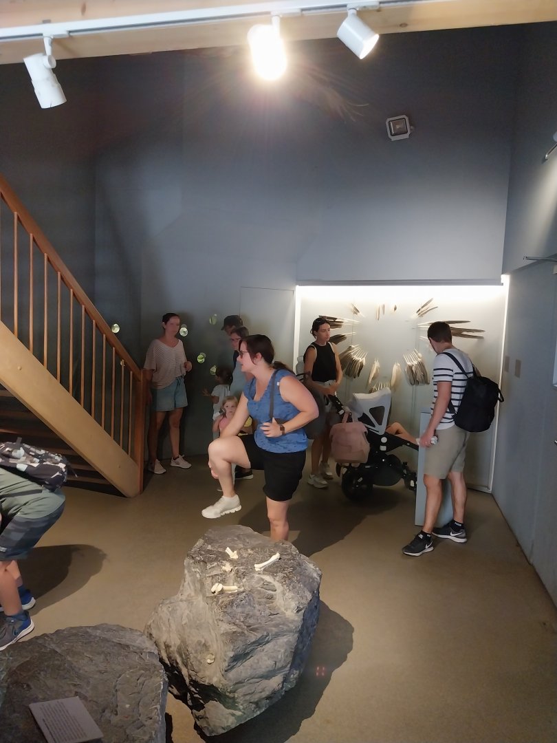 Rock & Forest tour - Bartgeier expo