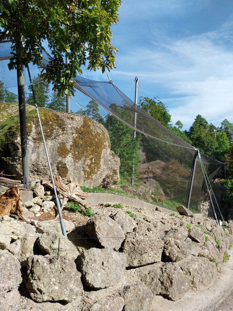 Rock & Forest tour - Bearded vulture aviary