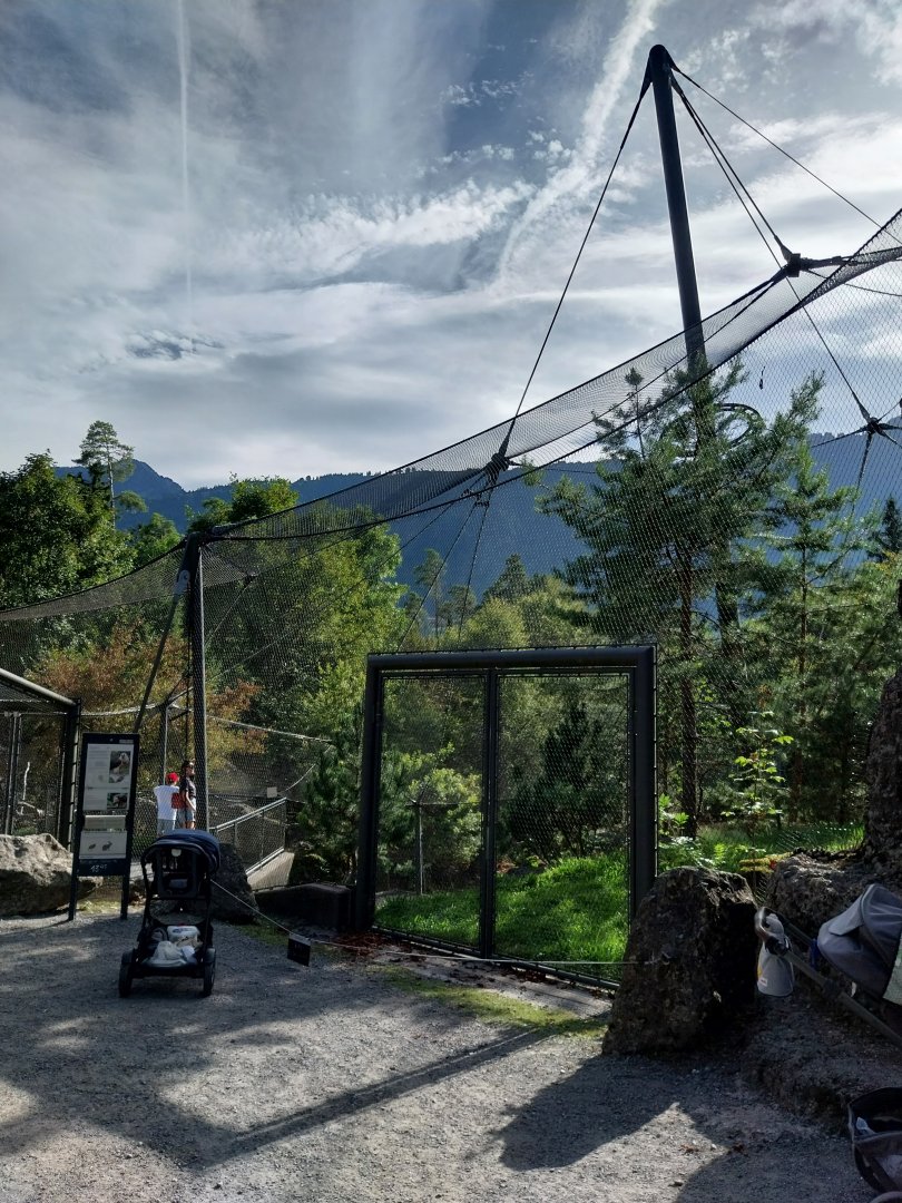 Rock & Forest tour - Bearded vulture aviary