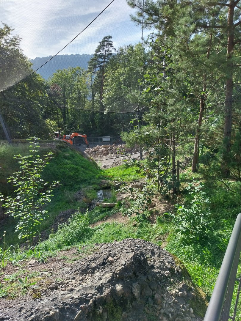 Rock & Forest tour - Bearded vulture aviary