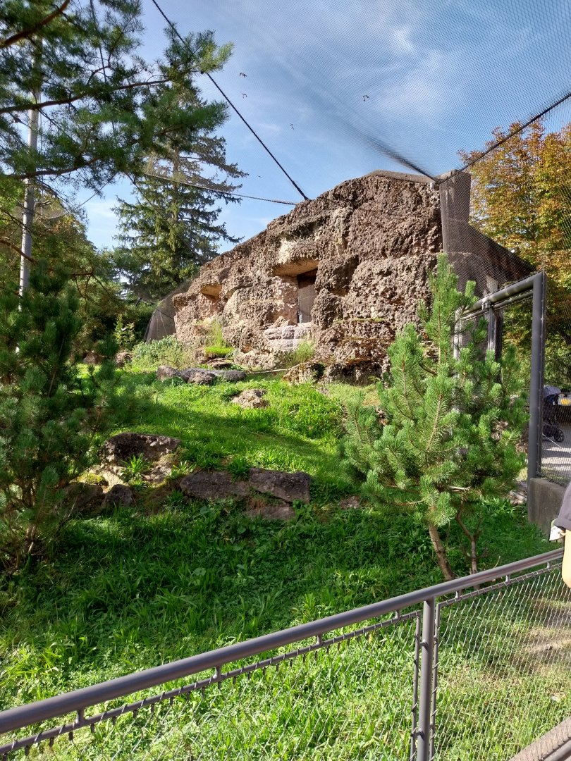 Rock & Forest tour - Bearded vulture aviary