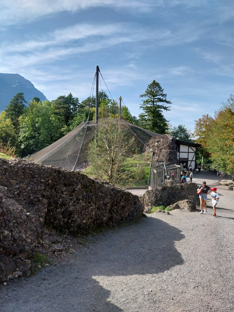 Rock & Forest tour - Bearded vulture aviary