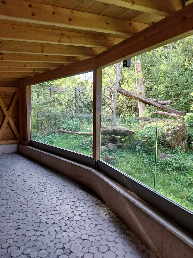 Rock & Forest tour - European wildcat observation cabin
