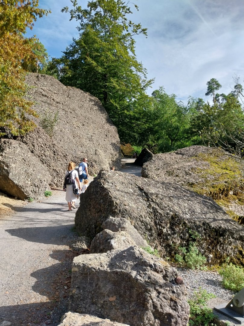 Rock & Forest tour - General view