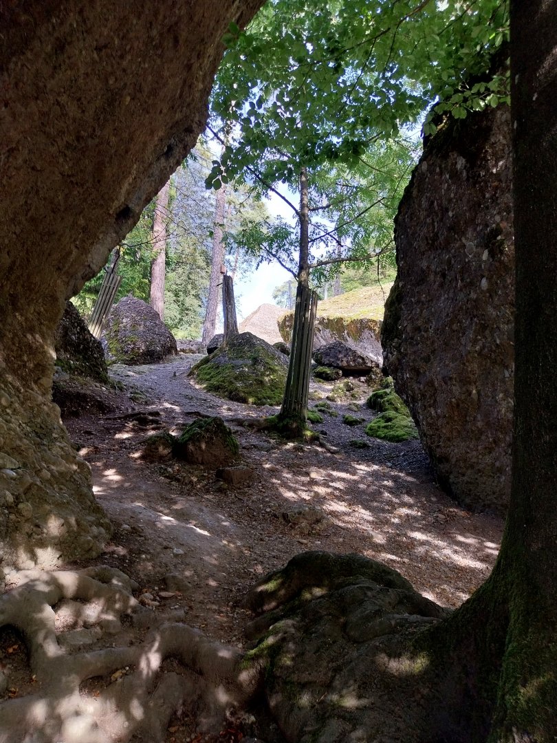 Rock & Forest tour - General view