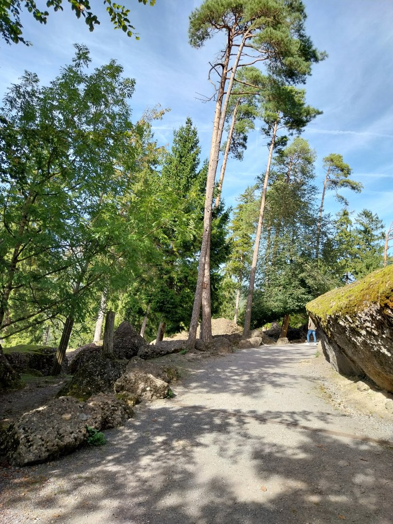 Rock & Forest tour - General view