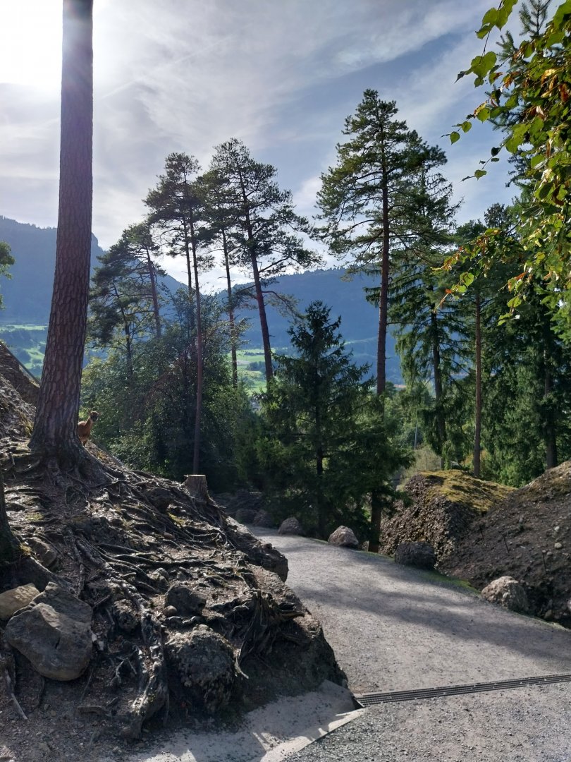 Rock & Forest tour - General view