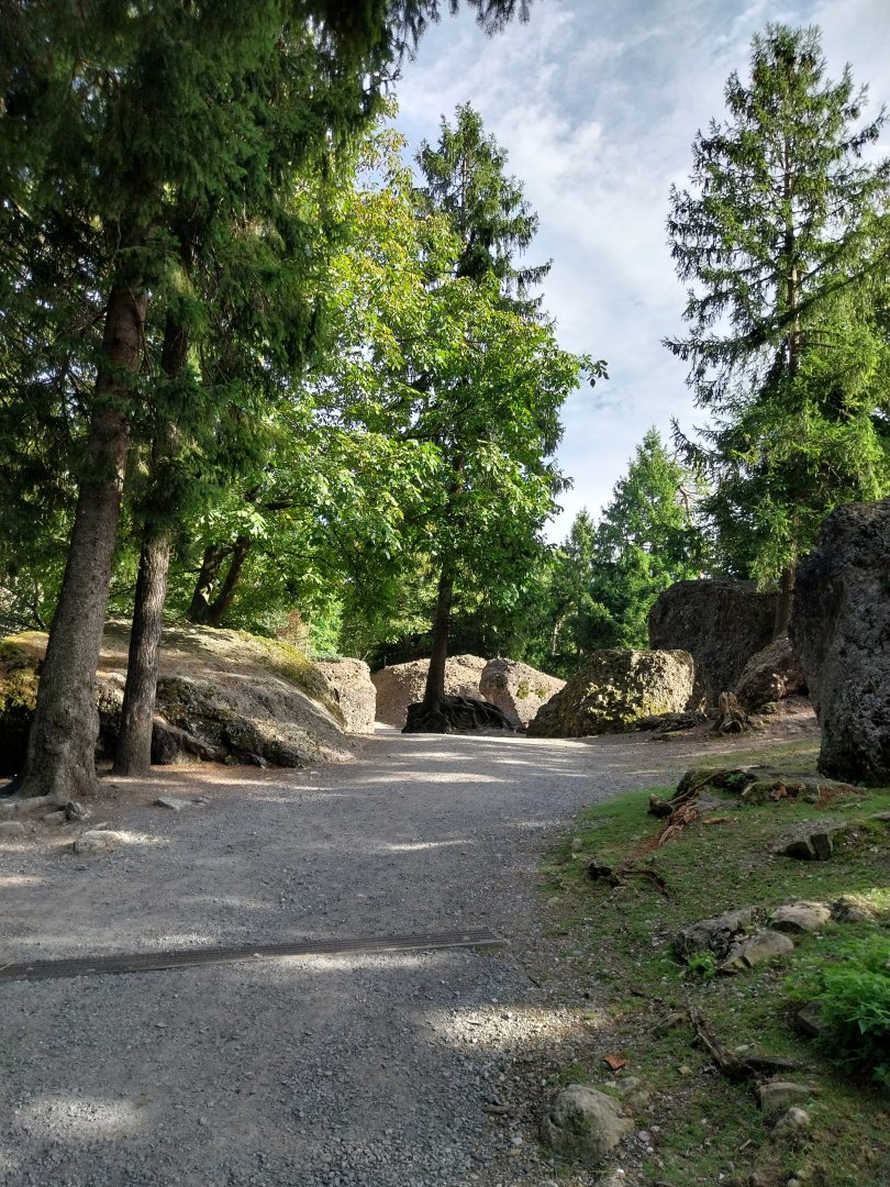 Rock & Forest tour - General view