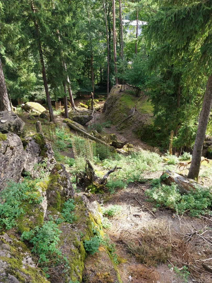 Rock & Forest tour - General view