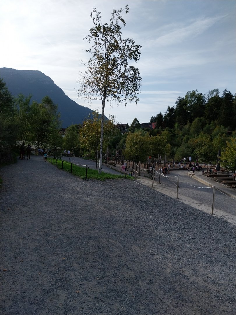 Rock & Forest tour - General view